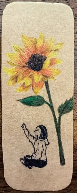 Touch the Sunshine